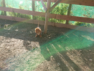 f:id:roukenhome-ann:20190120083158j:plain f:id:roukenhome-ann:20190120083158j:plain