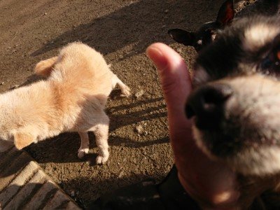 f:id:roukenhome-ann:20190120083207j:plain f:id:roukenhome-ann:20190120083207j:plain