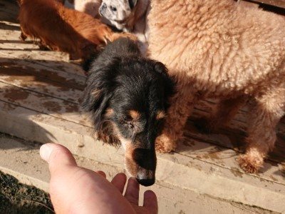 f:id:roukenhome-ann:20190120083212j:plain f:id:roukenhome-ann:20190120083212j:plain