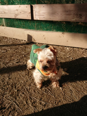 f:id:roukenhome-ann:20190120083223j:plain f:id:roukenhome-ann:20190120083223j:plain