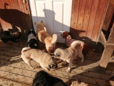 f:id:roukenhome-ann:20190120083227j:plain f:id:roukenhome-ann:20190120083227j:plain