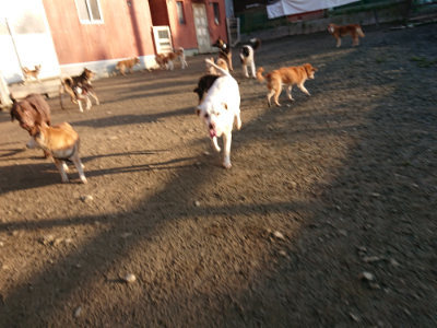 f:id:roukenhome-ann:20190120083232j:plain f:id:roukenhome-ann:20190120083232j:plain