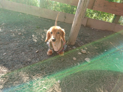 f:id:roukenhome-ann:20190120083237j:plain f:id:roukenhome-ann:20190120083237j:plain