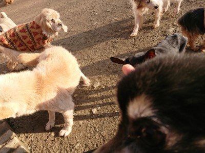 f:id:roukenhome-ann:20190120083241j:plain f:id:roukenhome-ann:20190120083241j:plain