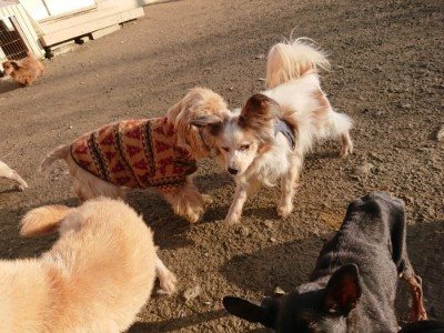 f:id:roukenhome-ann:20190120083246j:plain f:id:roukenhome-ann:20190120083246j:plain