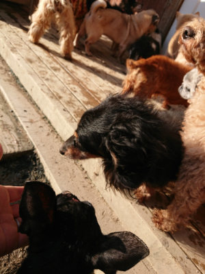 f:id:roukenhome-ann:20190120083253j:plain f:id:roukenhome-ann:20190120083253j:plain