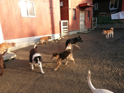 f:id:roukenhome-ann:20190120083257j:plain f:id:roukenhome-ann:20190120083257j:plain