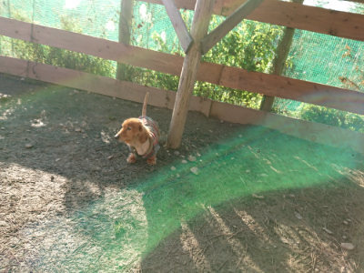 f:id:roukenhome-ann:20190120083304j:plain f:id:roukenhome-ann:20190120083304j:plain