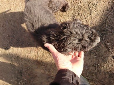 f:id:roukenhome-ann:20190120083308j:plain f:id:roukenhome-ann:20190120083308j:plain