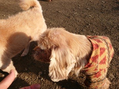 f:id:roukenhome-ann:20190120083313j:plain f:id:roukenhome-ann:20190120083313j:plain