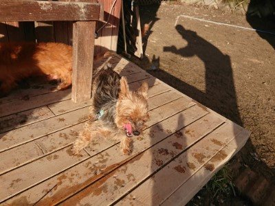 f:id:roukenhome-ann:20190120083317j:plain f:id:roukenhome-ann:20190120083317j:plain