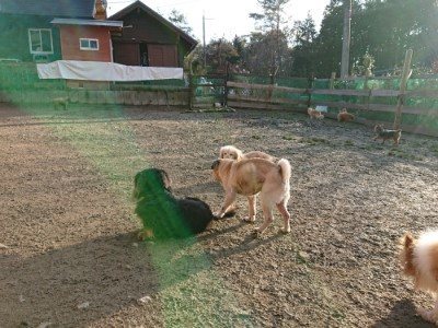 f:id:roukenhome-ann:20190120083321j:plain f:id:roukenhome-ann:20190120083321j:plain