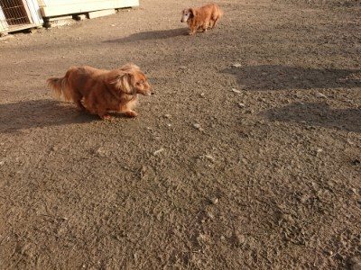 f:id:roukenhome-ann:20190120083325j:plain f:id:roukenhome-ann:20190120083325j:plain