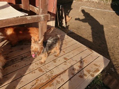 f:id:roukenhome-ann:20190120083328j:plain f:id:roukenhome-ann:20190120083328j:plain