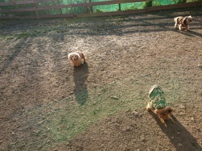 f:id:roukenhome-ann:20190120083334j:plain f:id:roukenhome-ann:20190120083334j:plain