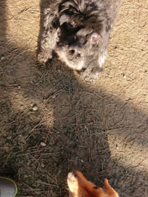 f:id:roukenhome-ann:20190120083339j:plain f:id:roukenhome-ann:20190120083339j:plain