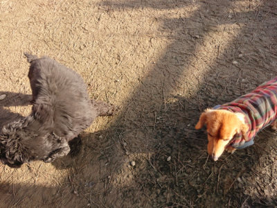 f:id:roukenhome-ann:20190120083345j:plain f:id:roukenhome-ann:20190120083345j:plain