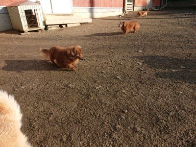 f:id:roukenhome-ann:20190120083350j:plain f:id:roukenhome-ann:20190120083350j:plain