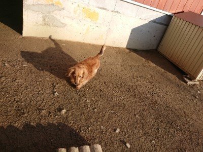 f:id:roukenhome-ann:20190120083354j:plain f:id:roukenhome-ann:20190120083354j:plain