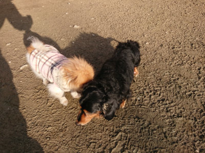 f:id:roukenhome-ann:20190120083359j:plain f:id:roukenhome-ann:20190120083359j:plain