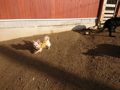 f:id:roukenhome-ann:20190120083403j:plain f:id:roukenhome-ann:20190120083403j:plain