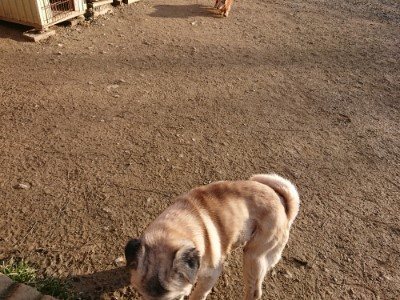 f:id:roukenhome-ann:20190120083407j:plain f:id:roukenhome-ann:20190120083407j:plain