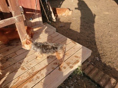 f:id:roukenhome-ann:20190120083411j:plain f:id:roukenhome-ann:20190120083411j:plain