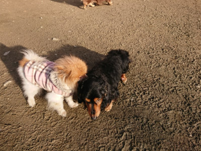 f:id:roukenhome-ann:20190120083416j:plain f:id:roukenhome-ann:20190120083416j:plain