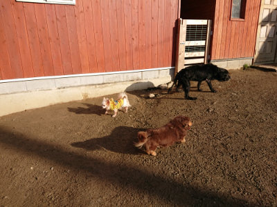 f:id:roukenhome-ann:20190120083422j:plain f:id:roukenhome-ann:20190120083422j:plain