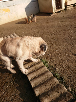 f:id:roukenhome-ann:20190120083427j:plain f:id:roukenhome-ann:20190120083427j:plain