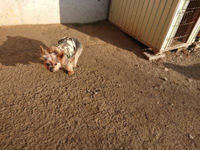 f:id:roukenhome-ann:20190120083431j:plain f:id:roukenhome-ann:20190120083431j:plain