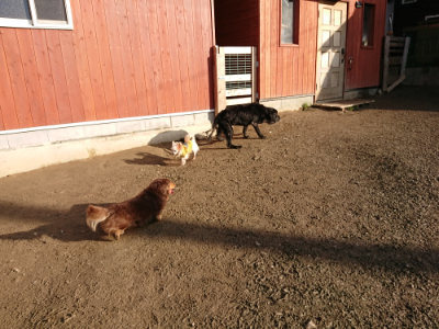 f:id:roukenhome-ann:20190120083436j:plain f:id:roukenhome-ann:20190120083436j:plain