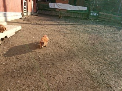 f:id:roukenhome-ann:20190120083447j:plain f:id:roukenhome-ann:20190120083447j:plain