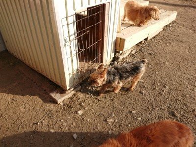 f:id:roukenhome-ann:20190120083451j:plain f:id:roukenhome-ann:20190120083451j:plain