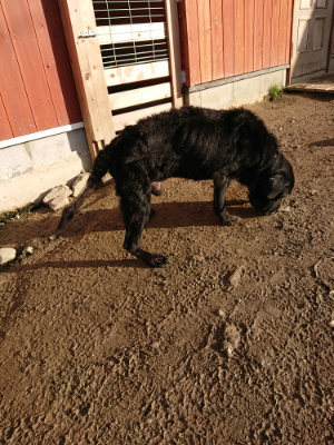 f:id:roukenhome-ann:20190120083456j:plain f:id:roukenhome-ann:20190120083456j:plain