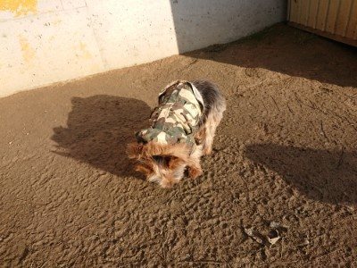 f:id:roukenhome-ann:20190120083603j:plain f:id:roukenhome-ann:20190120083603j:plain