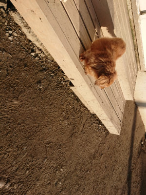 f:id:roukenhome-ann:20190120083608j:plain f:id:roukenhome-ann:20190120083608j:plain