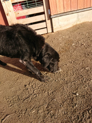 f:id:roukenhome-ann:20190120083614j:plain f:id:roukenhome-ann:20190120083614j:plain