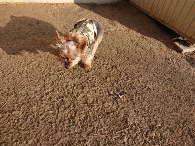 f:id:roukenhome-ann:20190120083618j:plain f:id:roukenhome-ann:20190120083618j:plain