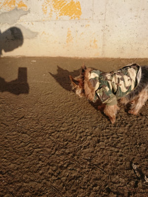 f:id:roukenhome-ann:20190120083623j:plain f:id:roukenhome-ann:20190120083623j:plain