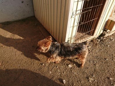 f:id:roukenhome-ann:20190120083627j:plain f:id:roukenhome-ann:20190120083627j:plain