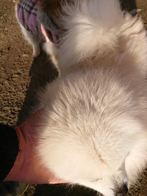 f:id:roukenhome-ann:20190120083631j:plain f:id:roukenhome-ann:20190120083631j:plain