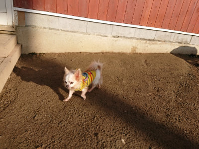 f:id:roukenhome-ann:20190120083635j:plain f:id:roukenhome-ann:20190120083635j:plain