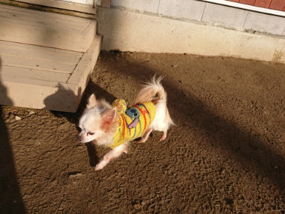 f:id:roukenhome-ann:20190120083640j:plain f:id:roukenhome-ann:20190120083640j:plain