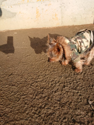 f:id:roukenhome-ann:20190120083646j:plain f:id:roukenhome-ann:20190120083646j:plain