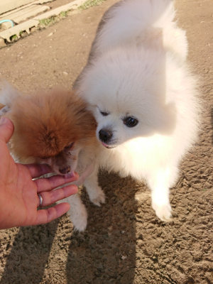 f:id:roukenhome-ann:20190120083650j:plain f:id:roukenhome-ann:20190120083650j:plain