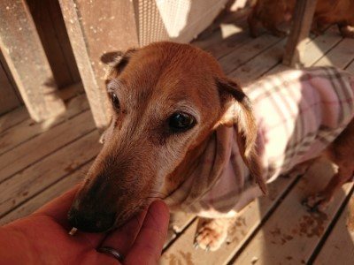 f:id:roukenhome-ann:20190120083656j:plain f:id:roukenhome-ann:20190120083656j:plain