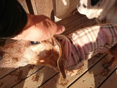 f:id:roukenhome-ann:20190120083700j:plain f:id:roukenhome-ann:20190120083700j:plain