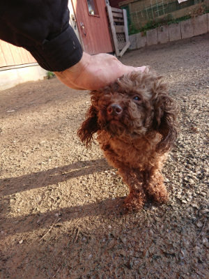 f:id:roukenhome-ann:20190120083704j:plain f:id:roukenhome-ann:20190120083704j:plain