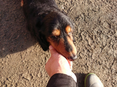 f:id:roukenhome-ann:20190120083713j:plain f:id:roukenhome-ann:20190120083713j:plain